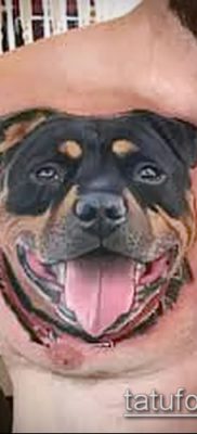 Снимка на татуировка на ротвайлер - 06062017 - пример - 074 татуировка на ротвайлер