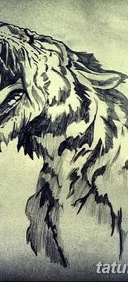 fotó kardfogú tigris tetoválásról, kelt 2017. 07. 25-én №014-Kardfogú tigris