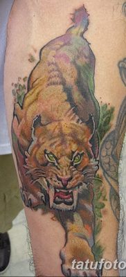 fotó kardfogú tigris tetoválásról 2017. 07. 25-én №023-Kardfogú tigris