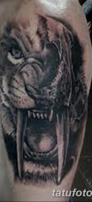 fotó kardfogú tigris tetoválásról, kelt 2017. 07. 25-én №031-Tetovált kardfogú tigris