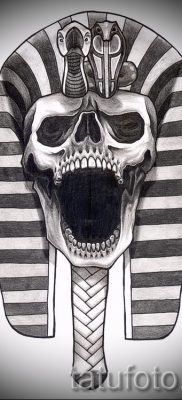 A szfinx tetoválás érdekes változata - használhat tetoválást a színes macska szfinx vállán