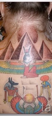 A szfinx tetoválás méltó változata - tetováláshoz használhatja a színes macska szfinx vállát