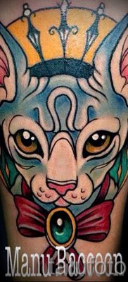 A szfinx tetoválás hűvös változata - szfinxmacska tetováláshoz használható