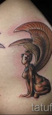 A szfinx tetoválás egyedi változata - tetováláshoz használható egy színes macska szfinx vállán