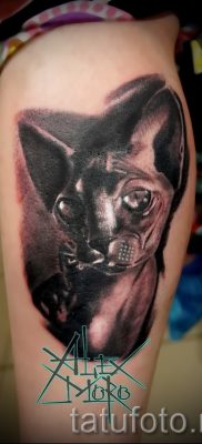 A szfinx tetoválás hűvös változata - szfinx tetováláshoz használható a karon