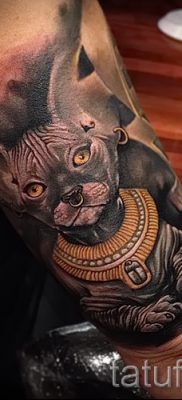 A szfinx tetoválás méltó változata - használhatja a lányok jelentését egy szfinx tetováláshoz