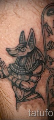 A szfinx tetoválás érdekes változata - szfinxmacska tetováláshoz használható