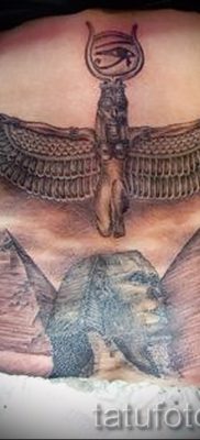 A szfinx tetoválás eredeti változata - tetováláshoz használható egy színes macska szfinx vállán