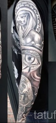 A szfinx tetoválás méltó változata - tetováláshoz használhatja a színes macska szfinx vállát