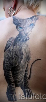 foto-tatu-sfinks-dlya-stati-pro-znachenie-tatu-sfinks-025-tatufoto-ru