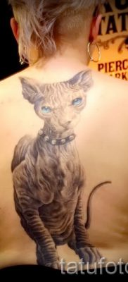 foto-tatu-sfinks-dlya-stati-pro-znachenie-tatu-sfinks-020-tatufoto-ru