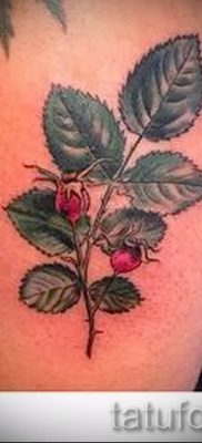 fotó csipkebogyó tetoválásról a csipkebogyó tetoválás jelentéséről szóló cikkhez - tatufoto.ru - 10