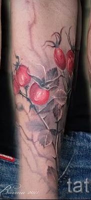 fotó csipkebogyó tetoválásról a csipkebogyó tetoválás jelentéséről szóló cikkhez - tatufoto.ru - 7