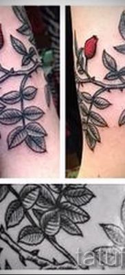 fotó csipkebogyó tetoválásról a csipkebogyó tetoválás jelentéséről szóló cikkhez - tatufoto.ru - 4