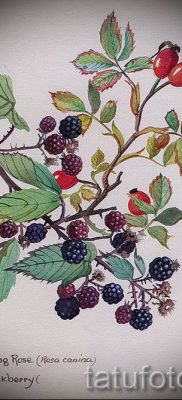 fotó csipkebogyó tetoválásról a csipkebogyó tetoválás jelentéséről szóló cikkhez - tatufoto.ru - 2