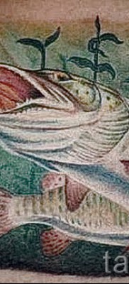 Снимка на татуировка на щука - цветна и реалистична татуировка