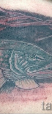 Снимка на татуировка на щука - вариант с риба в заслон