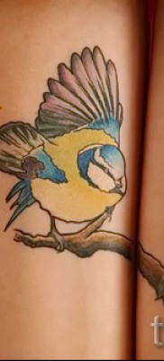 cinege tetoválás példa a 16 -os fényképen