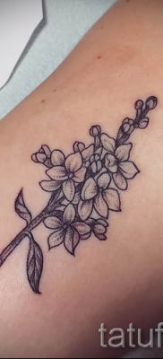 foto-tatu-sziréna-dlya-stati-pro-znachenie-tatuirovki-sziréna-038-tatufoto-ru