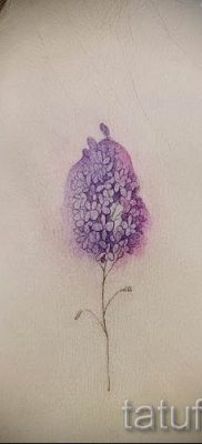 foto-tatu-sziréna-dlya-stati-pro-znachenie-tatuirovki-sziréna-004-tatufoto-ru