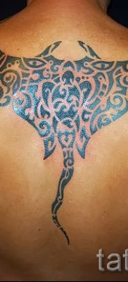 Fotó példa a pvapvap stingray tetoválásra