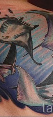 Fényképes példa egy csípős tetoválásról 234235363