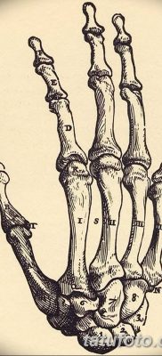 fotó egy csontváz tetoválásról, kelt 2017.08.28. №090 - tetováló csontváz -