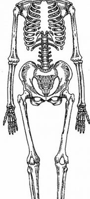 fotó egy csontváz tetoválásról, kelt 2017. 08. 28 -án №022 - tetováló csontváz -