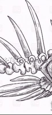 Fénykép egy halcsontváz tetoválásról - példa rajz - 30052017 - példa - 043 Halcsontváz tetoválás 242