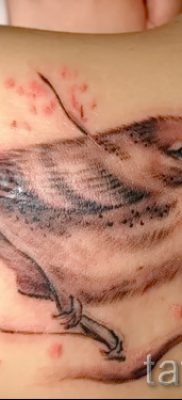 A süvöltő tetoválás ötletének hűvös változata a kész tetováláson a fotón - a bullfinch tetoválás történetéről szóló anyaghoz