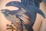 Sólyom tetoválás példa a 17. képen