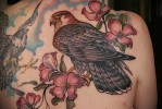 Sólyom tetoválás példa a 15. képen