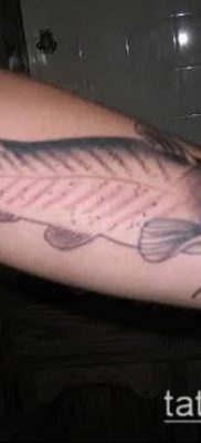 fotó harcsa tetoválásról (jelentése) - példa rajz - 037