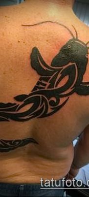 fotó harcsa tetoválásról (jelentése) - példa rajz - 023