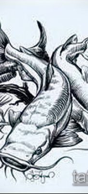 fotó harcsa tetoválásról (jelentése) - példa rajz - 008