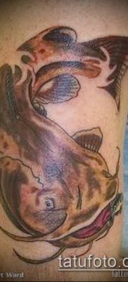 fotó harcsa tetoválásról (jelentése) - példa rajz - 005