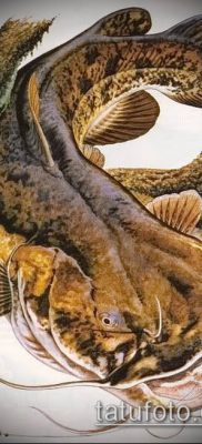 fotó harcsa tetoválásról (jelentése) - példa rajz - 001