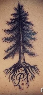 fotó egy fenyő tetoválásról, kelt: 07/07/2018 №159 - tetováló fenyő -