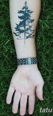 fotó egy fenyő tetoválásról, kelt: 07.07.2018 №158 - tetoválófenyő -