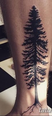 fotó egy fenyő tetoválásról, kelt: 07/07/2018 №154 - tetováló fenyő -