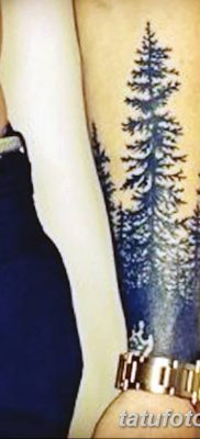 fotó egy fenyő tetoválásról, kelt: 07.07.2018 №150 - fenyő tetoválás -