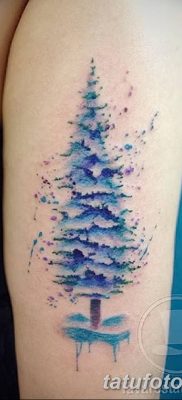 fotó egy fenyő tetoválásról, kelt: 07.07.2018 №148 - tetoválófenyő -