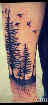 fotó egy fenyő tetoválásról, kelt: 07.07.2018 №142 - tetoválófenyő -