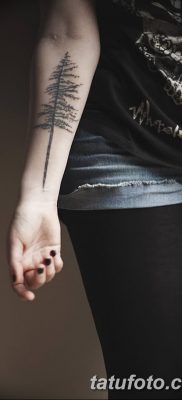 fotó egy fenyő tetoválásról, keltezve 2018. 07. 31 -én №130 - fenyő tetoválás -
