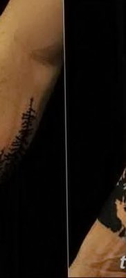 fotó egy fenyő tetoválásról, keltezve 2018. 07. 31 -én №128 - fenyő tetoválás -