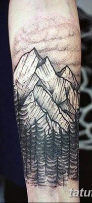 fotó egy fenyő tetoválásról, keltezett: 2018. 07. 31. №098 - fenyő tetoválás -
