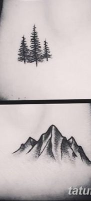 fotó egy fenyő tetoválásról, kelt 07.07.2018 №07 - tetováló fenyő -