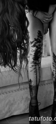 fotó egy fenyő tetoválásról, kelt: 07.07.2018 №091 - fenyő tetoválás -