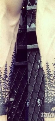 fotó egy fenyő tetoválásról, kelt: 07.07.2018 №002 - tetováló fenyő -