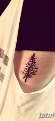 fotó egy fenyő tetoválásról, keltezés: 07.07.2018 №006 - fenyő tetoválás -